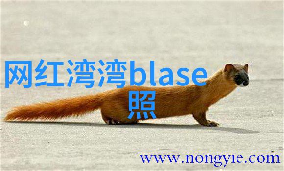 娱乐圈的奇迹与挑战从红到黑再逆袭的传奇故事