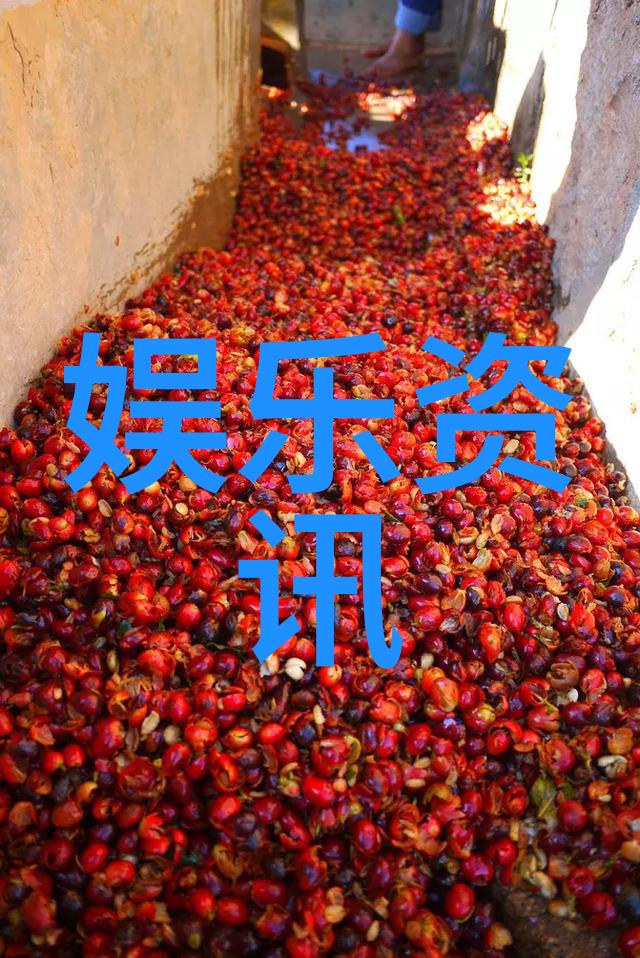 时光曲畅经典老歌500首完整版