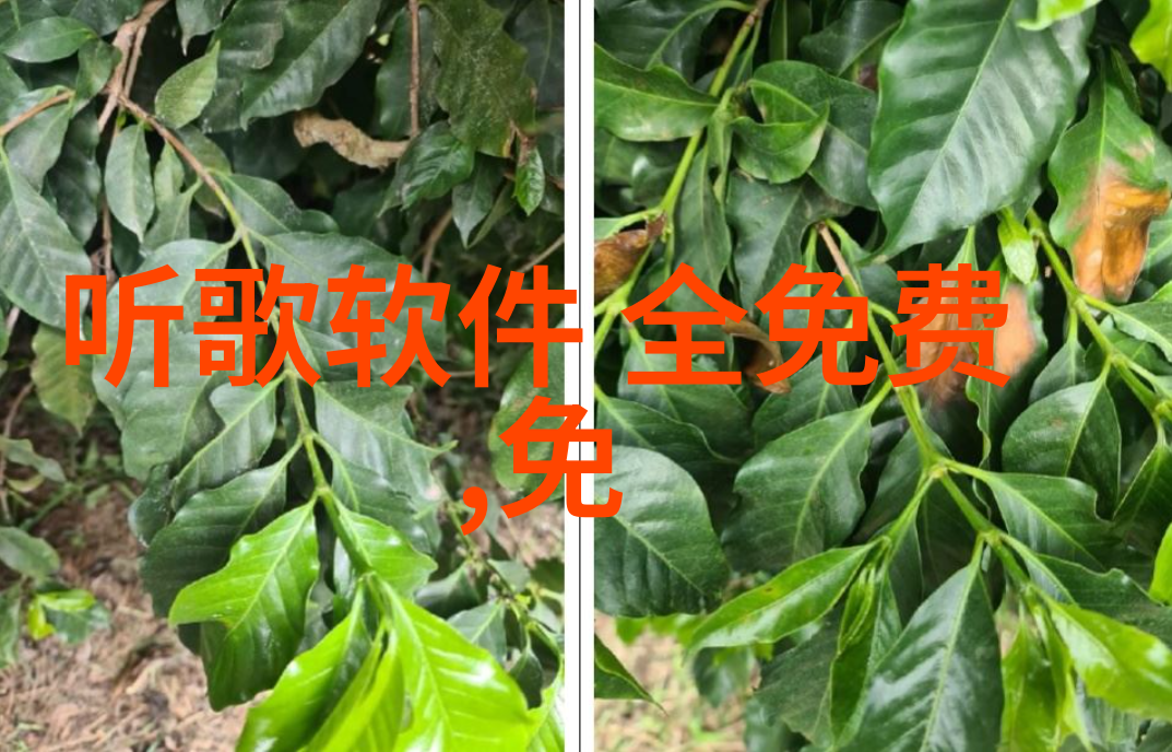 深夜直播未知的目击者