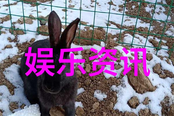 卡通世界里的可爱小精灵超级萌宠的奇幻冒险