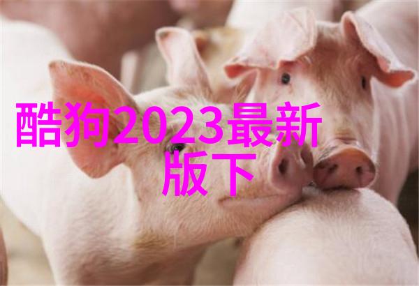 综艺之星高以翔的消失谜团