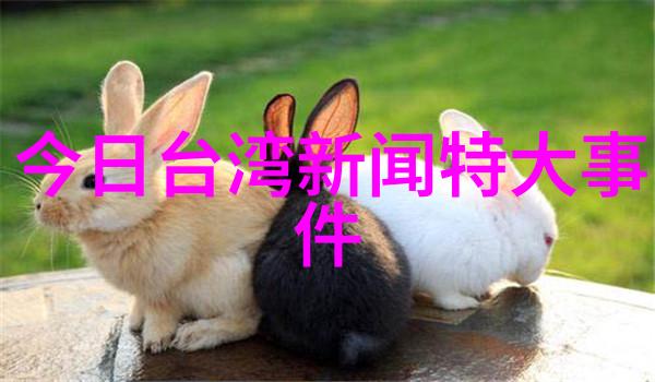 2023新款美图时尚摄影师的创意作品