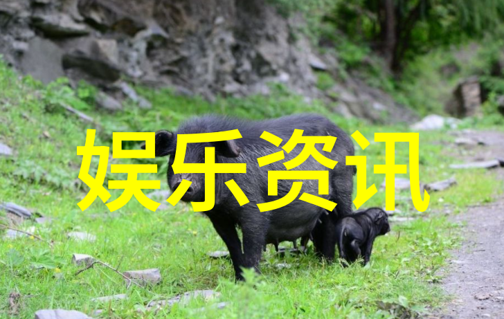 古风沉思50岁男人背后的凄美网名