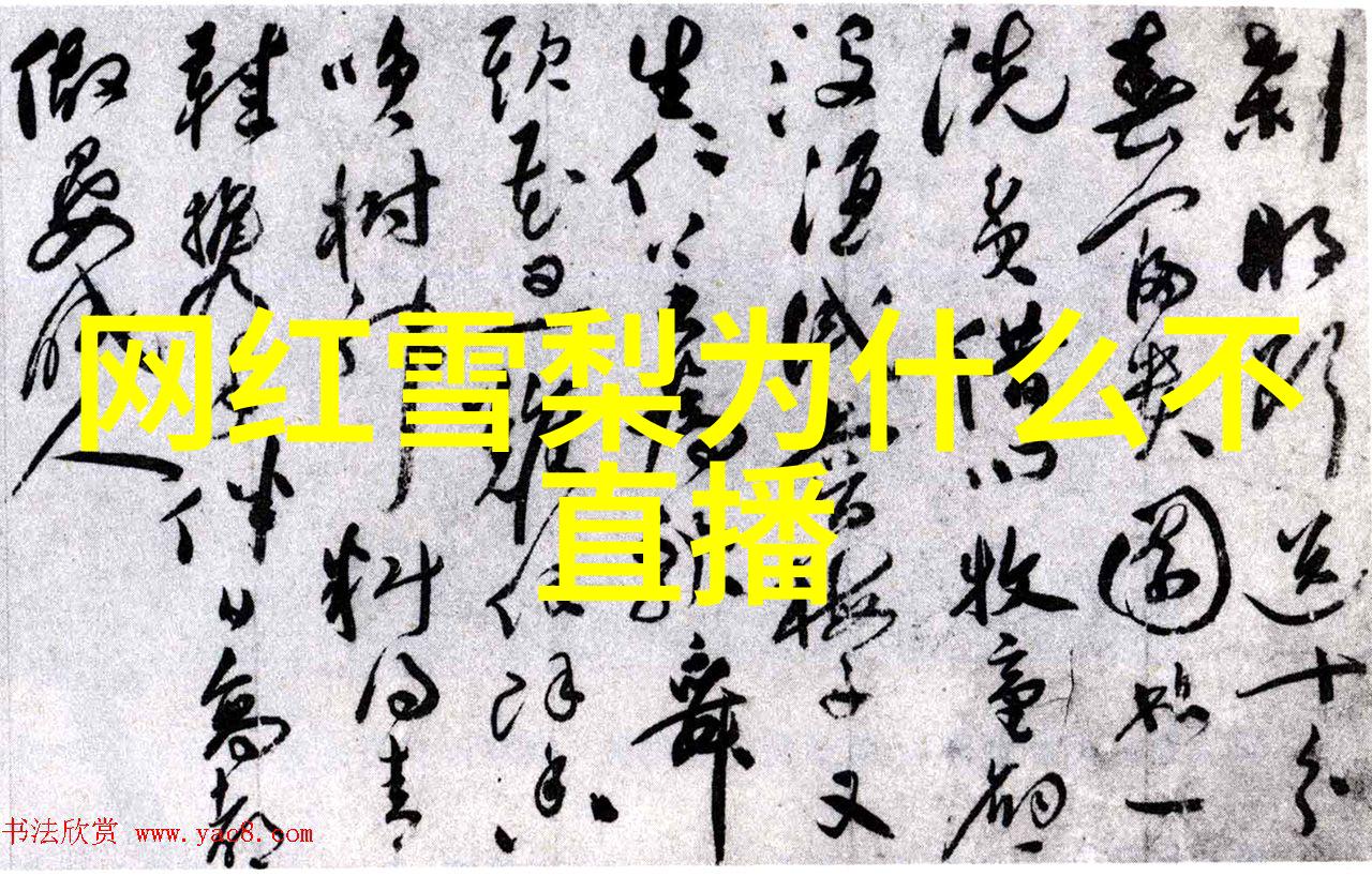 年轻的韩国朋友追逐梦想的步伐