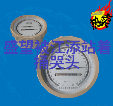 抖音平台上歌曲传播现象研究分析最火十大歌曲的文化影响与社交媒体互动机制