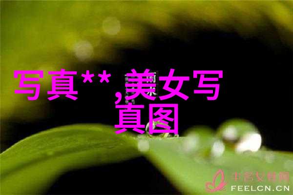 时代少年团综艺节目有哪些青春无界梦想合一
