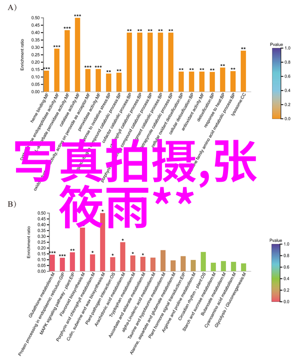 狂暴武魂唐三的逆袭之路