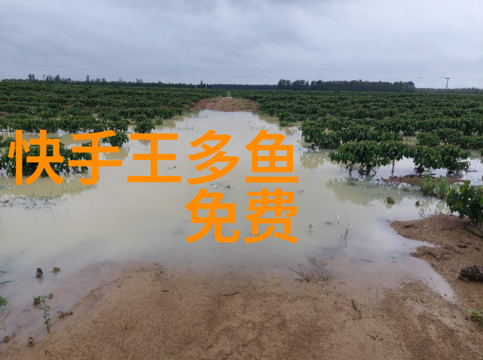 影视工厂幕后的创意与机器的交响曲