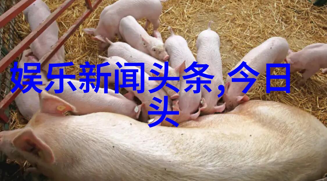 深宫谍影 电视剧我在皇宫里玩命揭秘那些隐藏的线索
