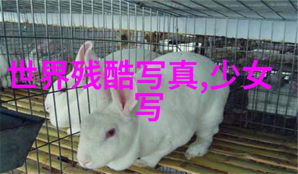88影视中国电影电视剧作品的宝库