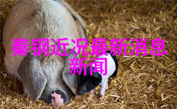 在数字时代保留记忆为什么需要高清写真