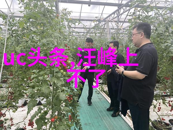今日头条克拉拉光影曝光大胆明艳如玫瑰般娇丽