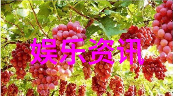 有时候放弃比坚持更痛苦的自由交换