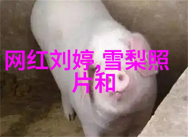 先天八卦中五行悬念里嘉宾名单如何蔡徐坤真的会来芒果粉丝节吗
