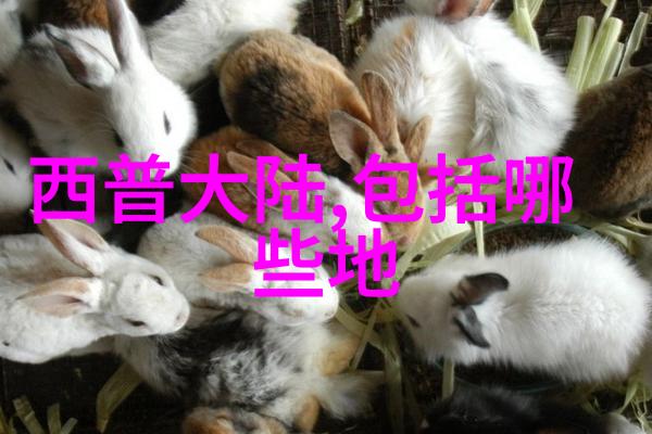 韩国综艺情书揭秘偶像们的真心告白与幕后故事