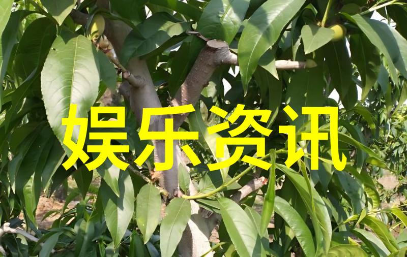 5.12汶川地震图片我眼中的那一刻汶川地震的惨烈画面