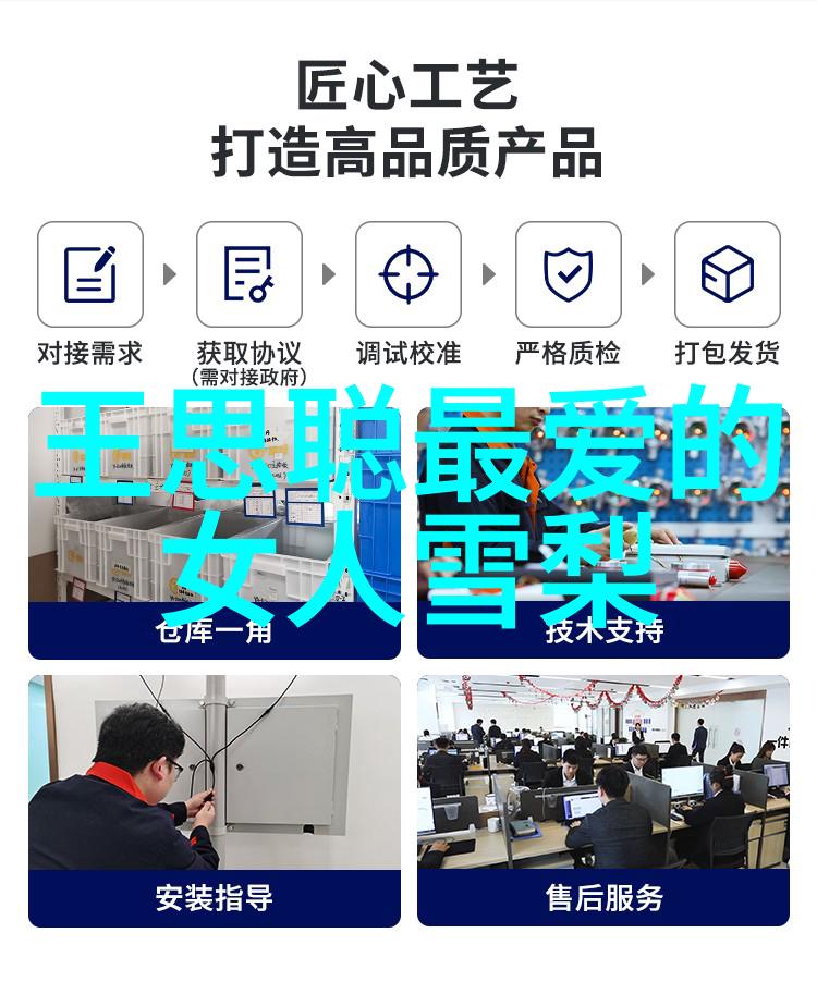 综艺盛名正大之星的舞台魅力