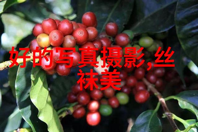 1942年河南大饥荒研究社会结构政策失误与民众生存策略