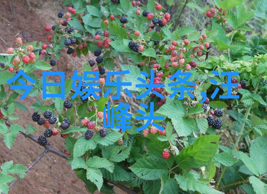 旅游新闻网我是如何在海滩上的免费自助餐中发现了旅行的真正乐趣