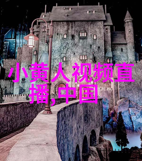 影之缝隙苍井空的隐秘面纱