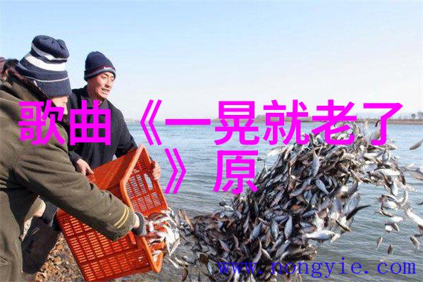 娱乐圈吹奥运风 明星与运动走到一块