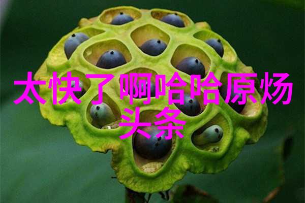 新浪娱乐秋雨老宅应列入世界文化遗产名录珍贵物品等待发掘