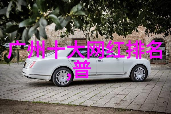 丁海峰电视剧作品集幕后风云与银幕魅力