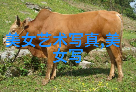 穿越时尚迷宫揭秘完美女装搭配的秘密