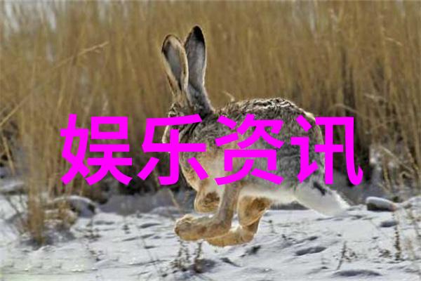 身上佩戴小八卦的作用穿上运气符号我是如何用小八卦改善生活的小窍门