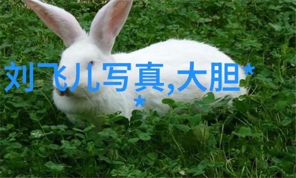 安徽省文化传媒集团旗下知名频道深耕娱乐与生活节目打造独特的观众体验