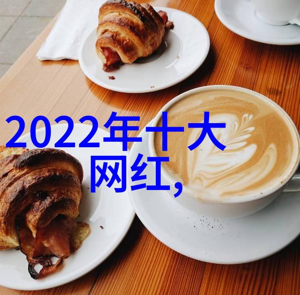 主题我是如何跟上中国十大网络红人的步伐的