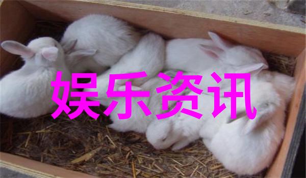 2022最火的歌曲大全100首回顾年度音乐风云