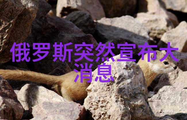 逆袭爱情岛揭秘论坛永久免费线路的奇迹