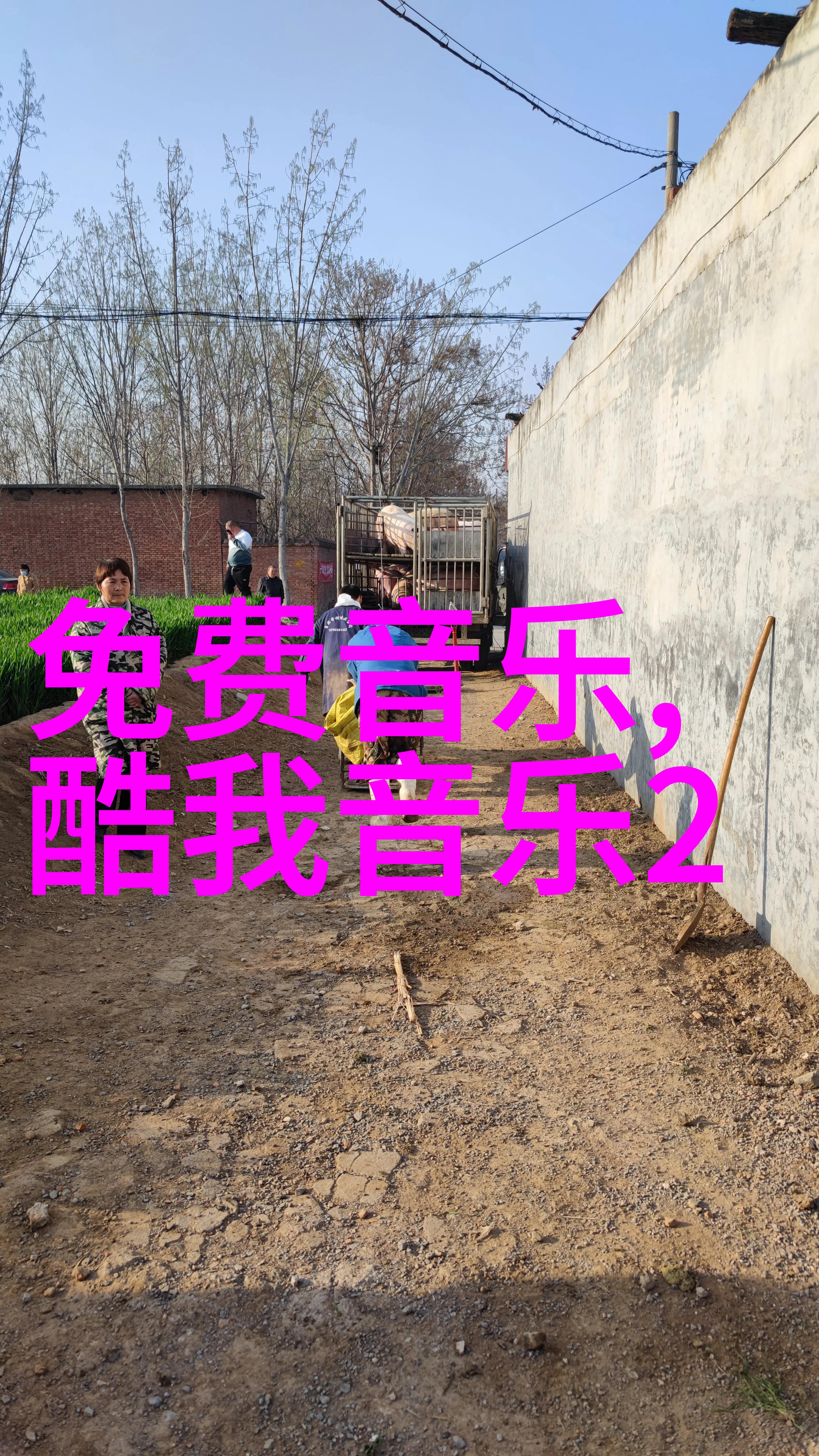 黄晓明angelababy离婚官宣网友调侃爱情如同快递包邮到最后还是退回