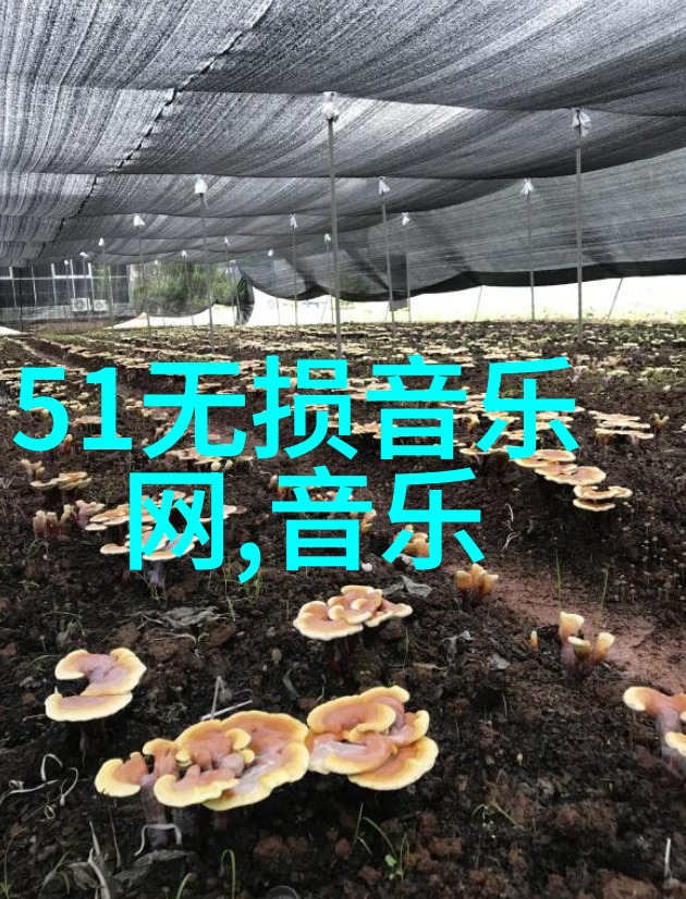 华语影视界的四大美女群星 - 群飞刘亦菲刘诗诗杨幂杨颖闪耀银幕的璀璨光芒