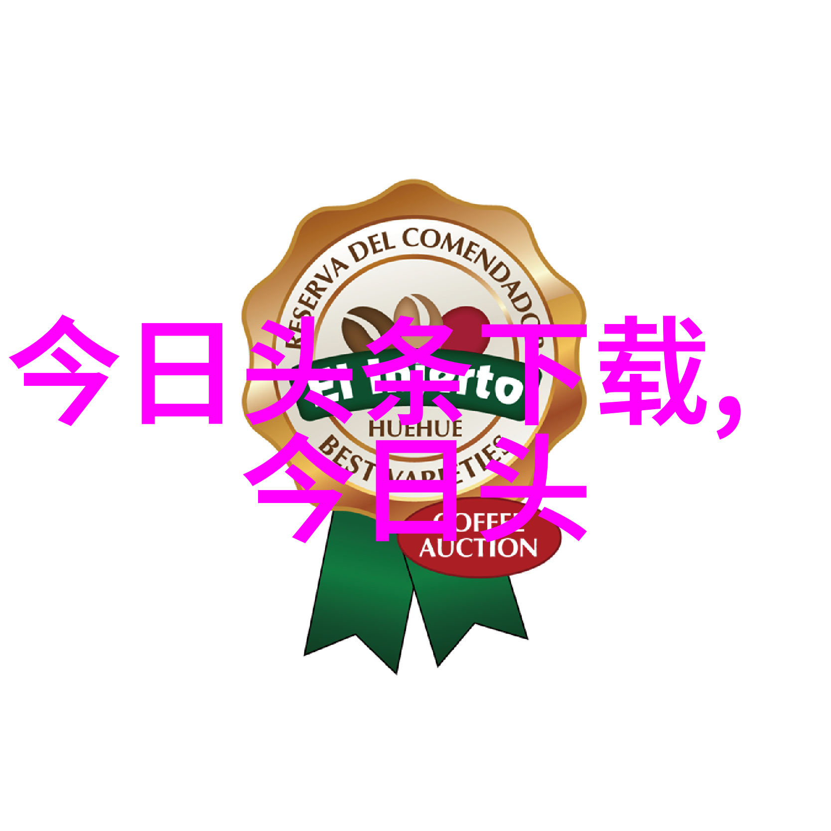 在现实与幻想交织中的角色定位是什么样的