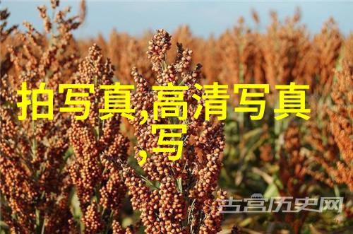 幕后揭秘一面亲下边一面的电影世界