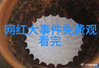 艳舞写真捕捉女性魅力的艺术形式
