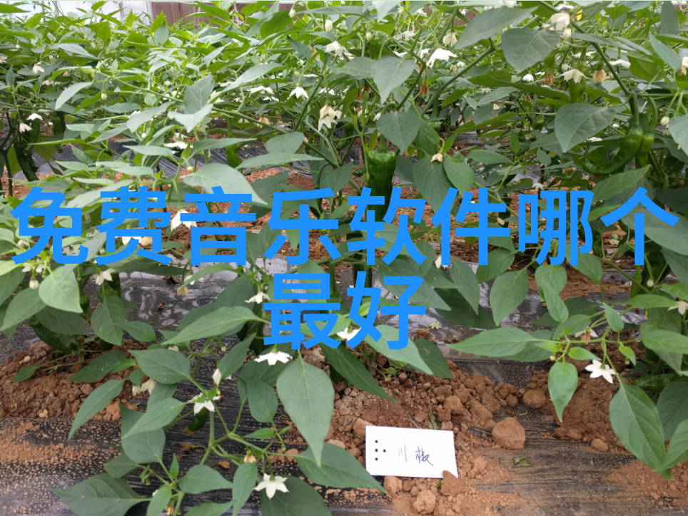 2010年10月24日全球金融危机的阴影仍未消散