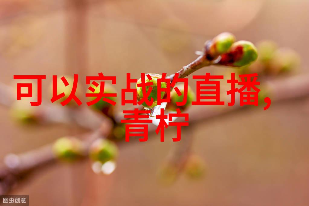 当代电影文化中的热映现象剖析银幕上的流行趋势与社会反馈
