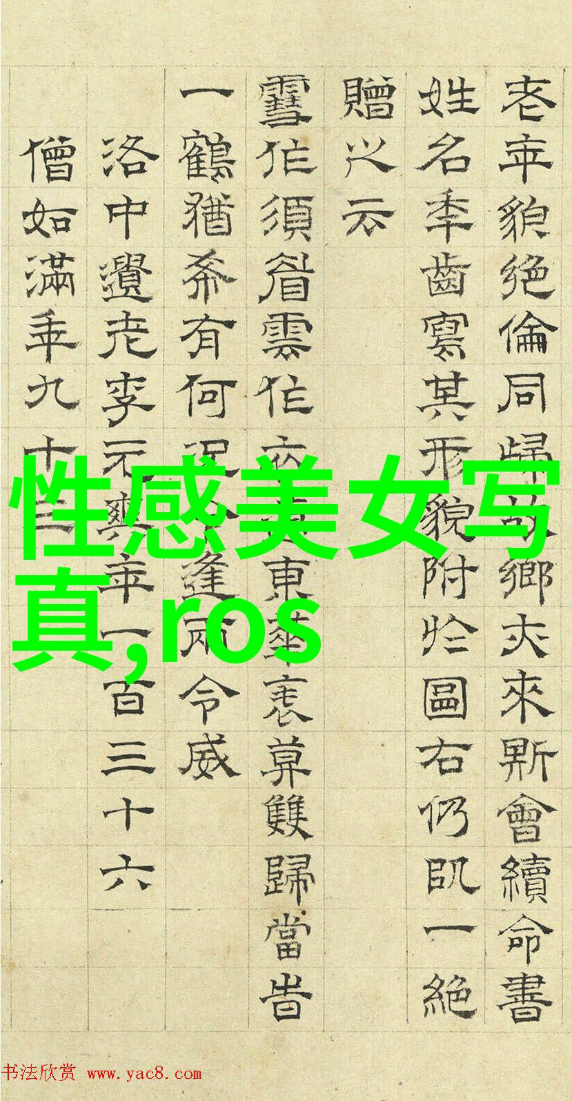 风月敢死香港电影黄金时代的风花雪月女星敢死队4电影免费观看完整版