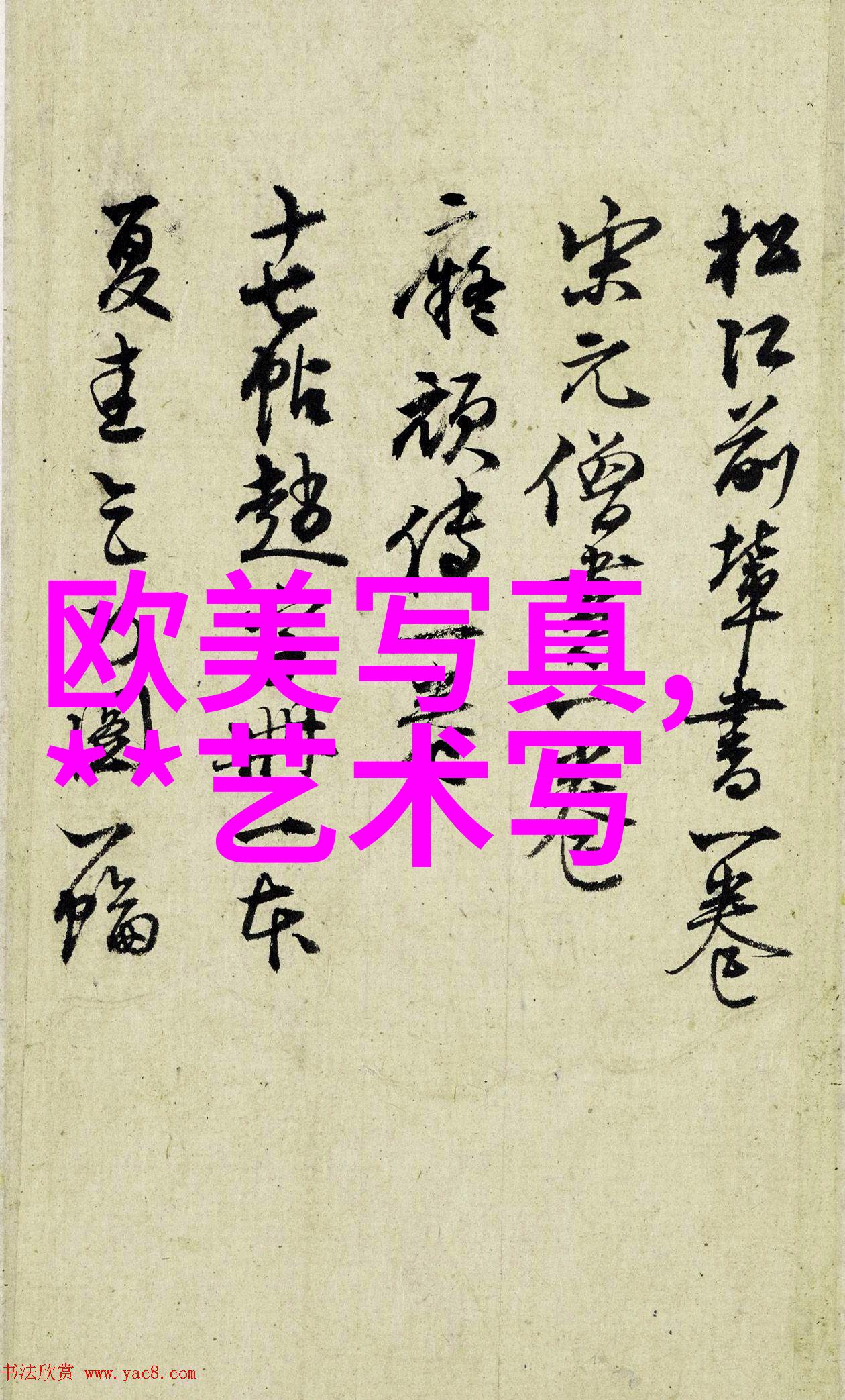 如何平衡优雅与舒适