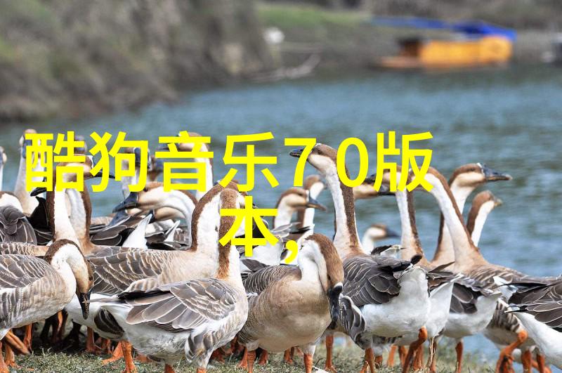 木兰传奇柔情似水的战场