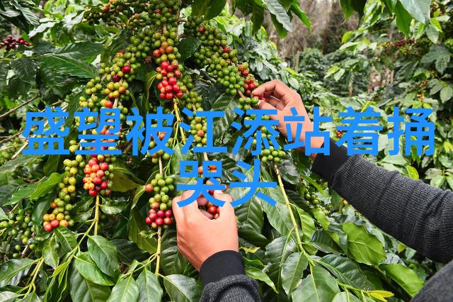 吉泽明步种子计划的女英雄