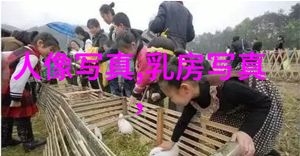 秘籍解锁八卦之谜的初窥