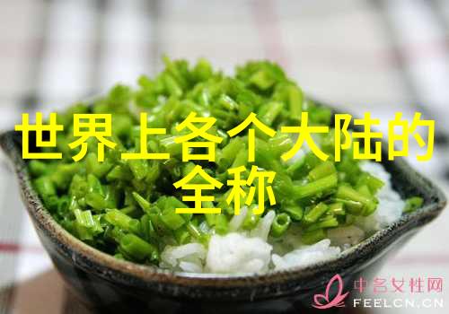 娱乐小说中如何巧妙地融入现实问题