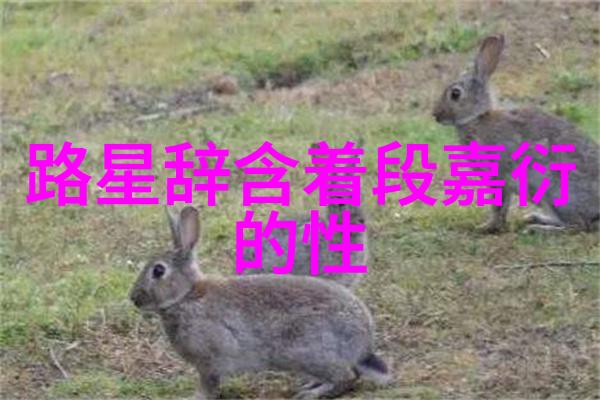 淑容上的船难老扒与三个女人之间的奇妙缘分