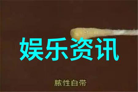 明星网追踪红毯与幕后故事
