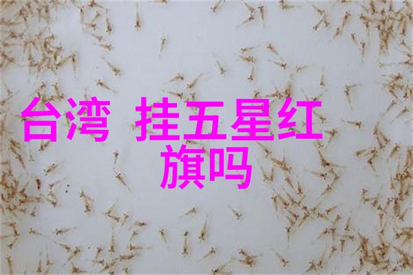 全能影视探索多媒体艺术的新纪元与技术融合之道