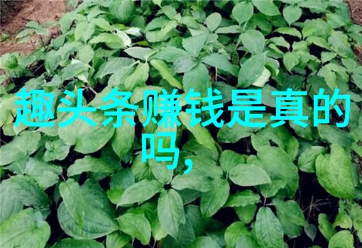 全国最大网红排名美七777泰国事件双重探究揭秘泰国旅游安全之谜